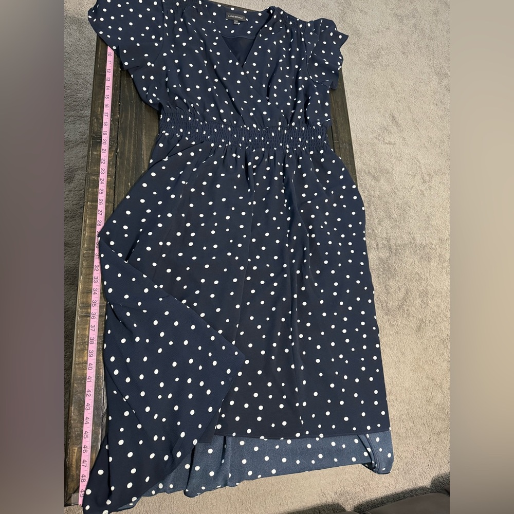 Lane Bryant Navy Blue Polka Dot Midi Dress